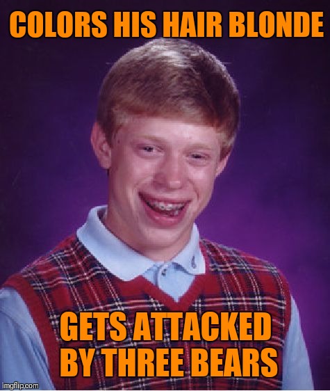 Bad Luck Goldilocks Brian | COLORS HIS HAIR BLONDE; GETS ATTACKED BY THREE BEARS | image tagged in memes,bad luck brian,funny,goldilocks | made w/ Imgflip meme maker