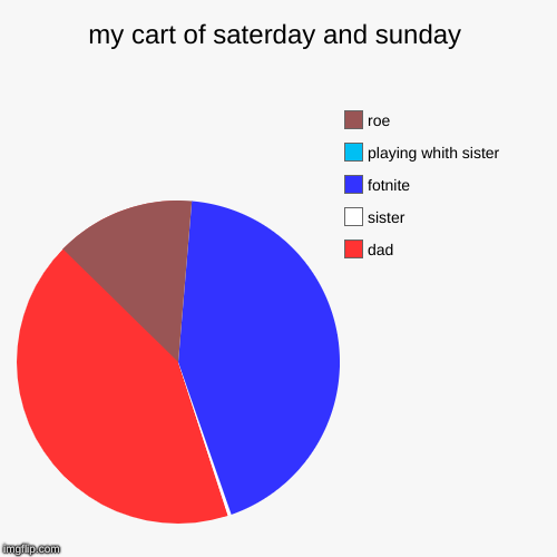 my cart of saterday and sunday | dad, sister, fotnite, playing whith sister, roe | image tagged in funny,pie charts | made w/ Imgflip chart maker