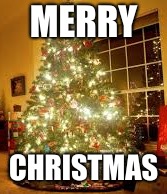 MERRY; CHRISTMAS | image tagged in christmas | made w/ Imgflip meme maker