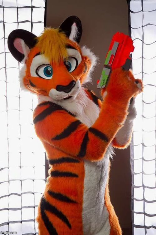 High Quality furry with nerf Blank Meme Template