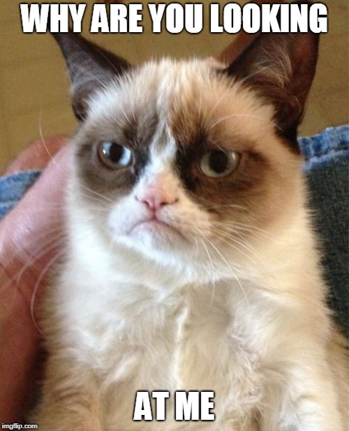 Grumpy Cat | WHY ARE YOU LOOKING; AT ME | image tagged in memes,grumpy cat | made w/ Imgflip meme maker