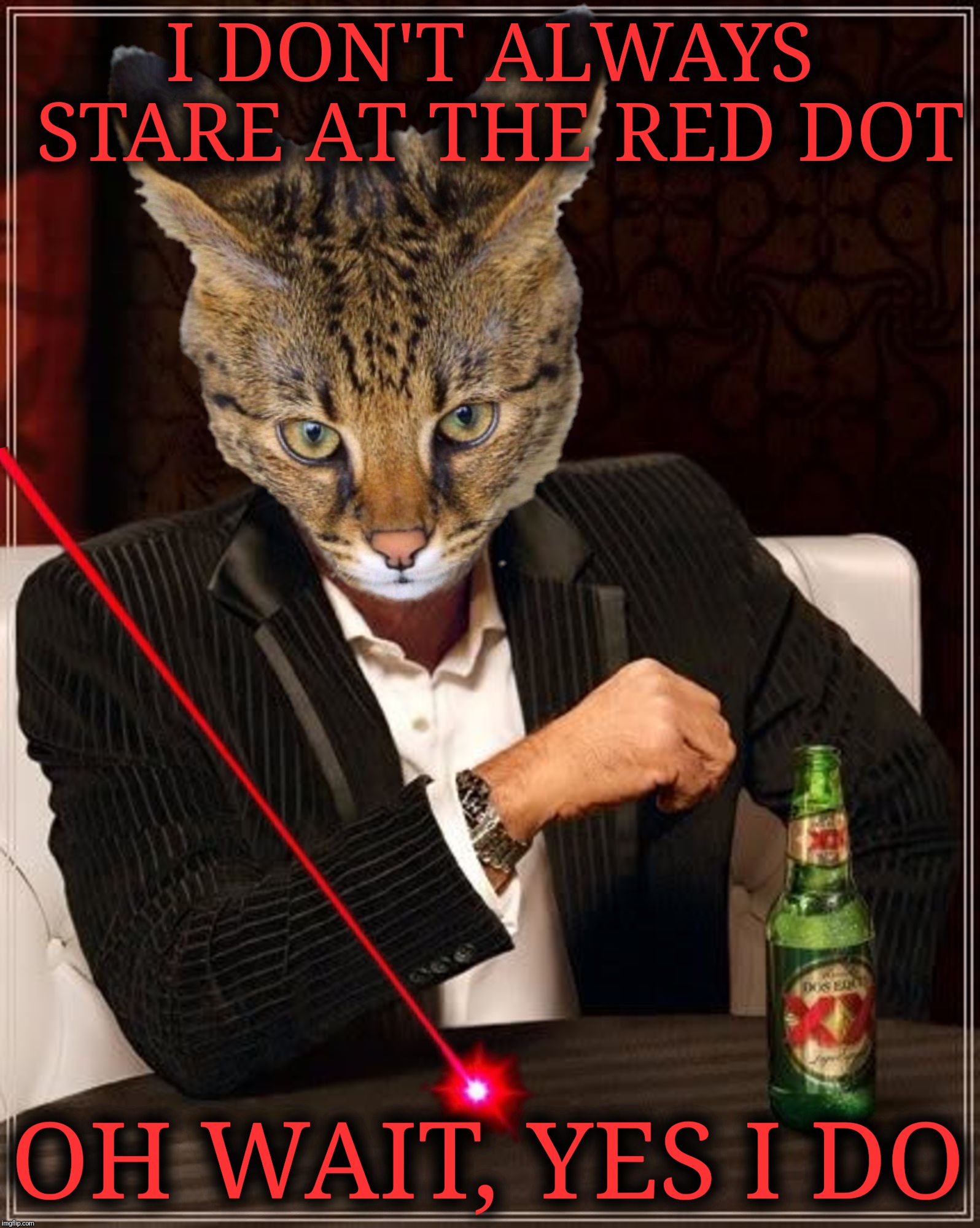 Keep your eye on the prize | I DON'T ALWAYS STARE AT THE RED DOT; OH WAIT, YES I DO | image tagged in the most interesting man in the world,the most interesting cat in the world,red dot,laser,infernokid-sandstorm,new template | made w/ Imgflip meme maker