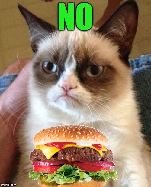 Grumpy Cat Meme | NO | image tagged in memes,grumpy cat | made w/ Imgflip meme maker