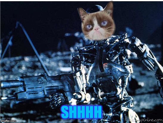 grump cat terminator | SHHHH | image tagged in grump cat terminator | made w/ Imgflip meme maker