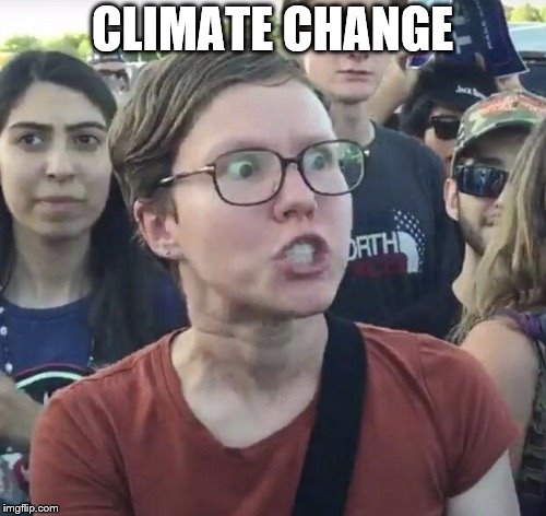 Triggered feminist | CLIMATE CHANGE | image tagged in triggered feminist | made w/ Imgflip meme maker