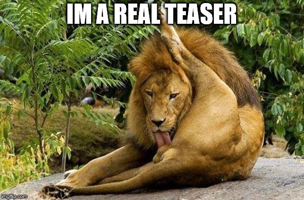 lion licking balls | IM A REAL TEASER | image tagged in lion licking balls | made w/ Imgflip meme maker