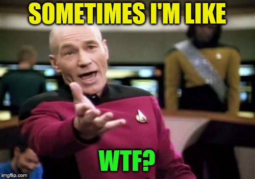 Picard Wtf Meme | SOMETIMES I'M LIKE WTF? | image tagged in memes,picard wtf | made w/ Imgflip meme maker