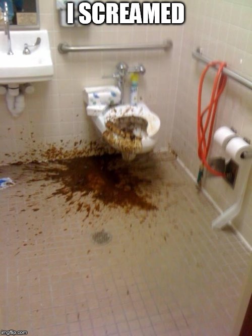 Girls poop too | I SCREAMED | image tagged in girls poop too | made w/ Imgflip meme maker
