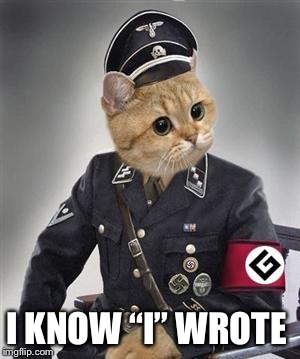 Grammar Cat  | I KNOW “I” WROTE | image tagged in grammar cat | made w/ Imgflip meme maker