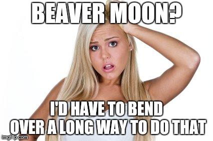 Dumb Blonde | BEAVER MOON? I'D HAVE TO BEND OVER A LONG WAY TO DO THAT | image tagged in dumb blonde | made w/ Imgflip meme maker