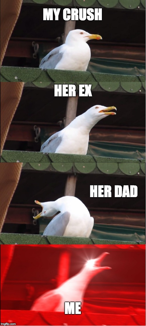 Inhaling Seagull | MY CRUSH; HER EX; HER DAD; ME | image tagged in memes,inhaling seagull | made w/ Imgflip meme maker