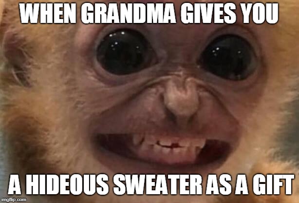 Monkey | WHEN GRANDMA GIVES YOU; A HIDEOUS SWEATER AS A GIFT | image tagged in monkey | made w/ Imgflip meme maker