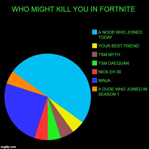 WHO MIGHT KILL YOU IN FORTNITE | A DUDE WHO JOINED IN SEASON 1, NINJA, NICK EH 30, TSM DAEQUAN, TSM MYTH, YOUR BEST FRIEND, A NOOB WHO JOINE | image tagged in funny,pie charts | made w/ Imgflip chart maker