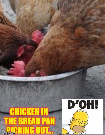 CHICKEN IN THE BREAD PAN PICKING OUT... | made w/ Imgflip meme maker