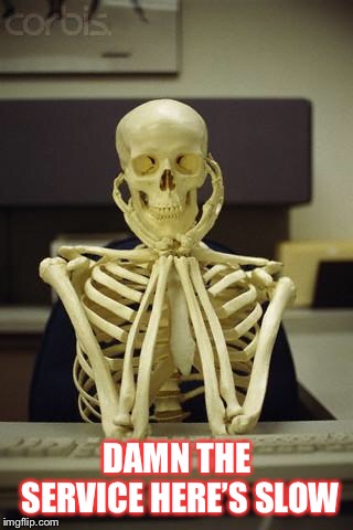 Waiting Skeleton | DAMN THE SERVICE HERE’S SLOW | image tagged in waiting skeleton | made w/ Imgflip meme maker