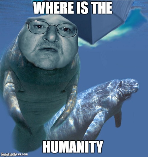 Where is the humanity | WHERE IS THE; HUMANITY | image tagged in where is the humanity,beukez,manate,man,meme,politics | made w/ Imgflip meme maker