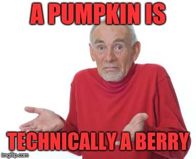 Old Man Shrugging | A PUMPKIN IS TECHNICALLY A BERRY | image tagged in old man shrugging | made w/ Imgflip meme maker