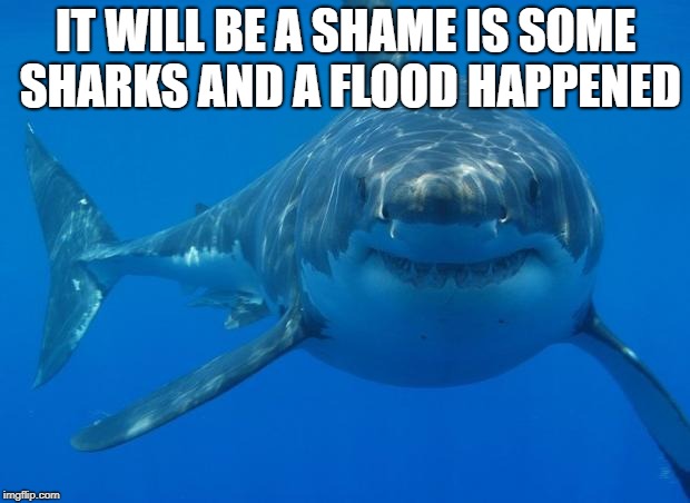 Straight White Shark | IT WILL BE A SHAME IS SOME SHARKS AND A FLOOD HAPPENED | image tagged in straight white shark | made w/ Imgflip meme maker