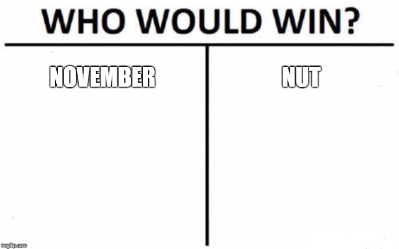Who Would Win? Meme | NOVEMBER; NUT | image tagged in memes,who would win | made w/ Imgflip meme maker