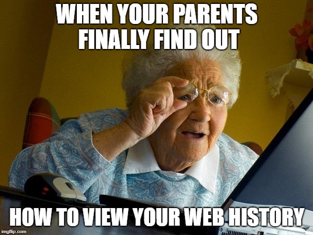 Grandma Finds The Internet | WHEN YOUR PARENTS FINALLY FIND OUT; HOW TO VIEW YOUR WEB HISTORY | image tagged in memes,grandma finds the internet | made w/ Imgflip meme maker