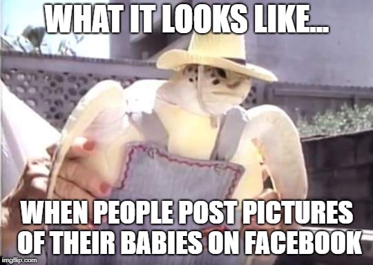 Baby Pictures | WHAT IT LOOKS LIKE... WHEN PEOPLE POST PICTURES OF THEIR BABIES ON FACEBOOK | image tagged in yee-haw sea turtle | made w/ Imgflip meme maker