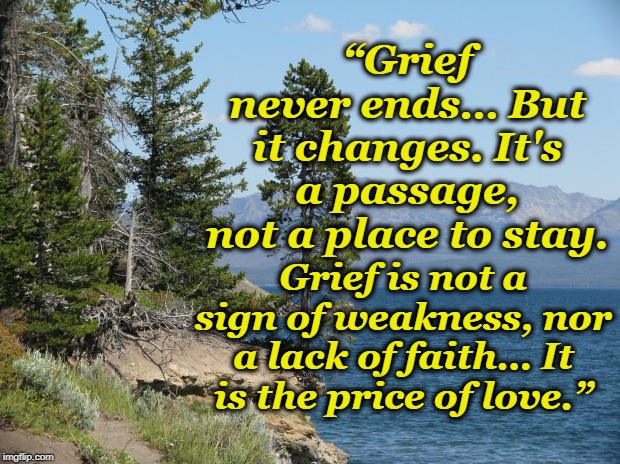 Grief Never Ends  | “Grief never ends… But it changes. It's a passage, not a place to stay. Grief is not a sign of weakness, nor a lack of faith… It is the price of love.” | image tagged in grief,love,peace,comfort,pine lake | made w/ Imgflip meme maker