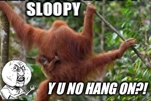 Orang u gon sing along?! | image tagged in y u no,funny animals,palaxote,cute animals,orangutan | made w/ Imgflip meme maker