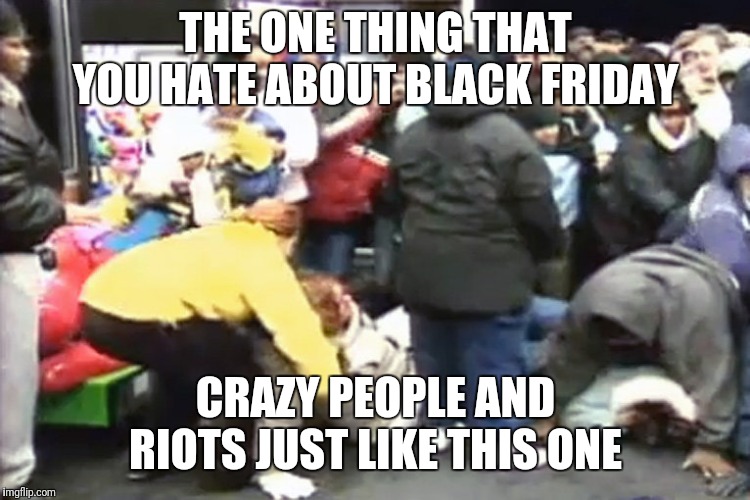 Black friday | THE ONE THING THAT YOU HATE ABOUT BLACK FRIDAY; CRAZY PEOPLE AND RIOTS JUST LIKE THIS ONE | image tagged in black friday | made w/ Imgflip meme maker
