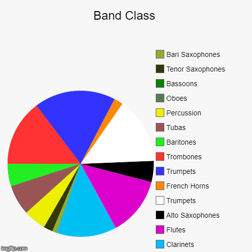 Band Class | Clarinets, Flutes, Alto Saxophones, Trumpets, French Horns, Trumpets, Trombones, Baritones, Tubas, Percussion, Oboes, Bassoons  | image tagged in funny,pie charts | made w/ Imgflip chart maker