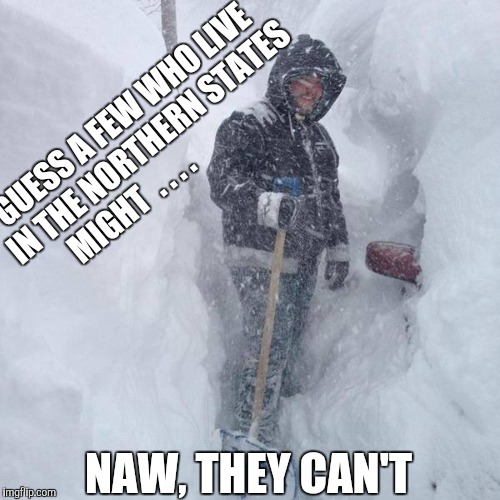 SNOW!!! | GUESS A FEW WHO LIVE IN THE NORTHERN STATES MIGHT  . . . . NAW, THEY CAN'T | image tagged in snow | made w/ Imgflip meme maker