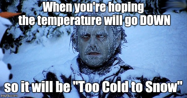 Freezing cold | When you're hoping the temperature will go DOWN so it will be "Too Cold to Snow" | image tagged in freezing cold | made w/ Imgflip meme maker