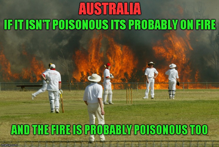 Throw away submission. Upvoting it maybe be poisonous  | AUSTRALIA; IF IT ISN'T POISONOUS ITS PROBABLY ON FIRE; AND THE FIRE IS PROBABLY POISONOUS TOO | image tagged in australia,crickett | made w/ Imgflip meme maker