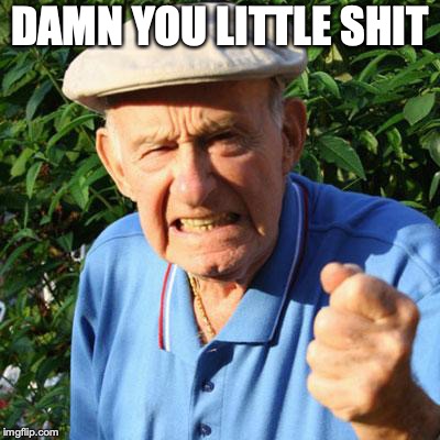 angry old man | DAMN YOU LITTLE SHIT | image tagged in angry old man | made w/ Imgflip meme maker