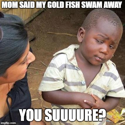 Third World Skeptical Kid | MOM SAID MY GOLD FISH SWAM AWAY; YOU SUUUURE? | image tagged in memes,third world skeptical kid | made w/ Imgflip meme maker