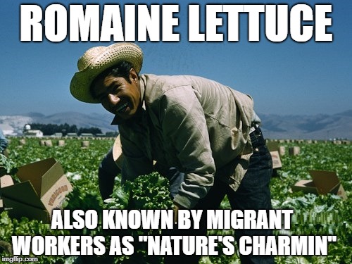 E-COLI | ROMAINE LETTUCE; ALSO KNOWN BY MIGRANT WORKERS AS "NATURE'S CHARMIN" | image tagged in poop | made w/ Imgflip meme maker