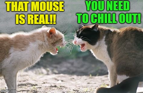 THAT MOUSE IS REAL!! YOU NEED TO CHILL OUT! | made w/ Imgflip meme maker