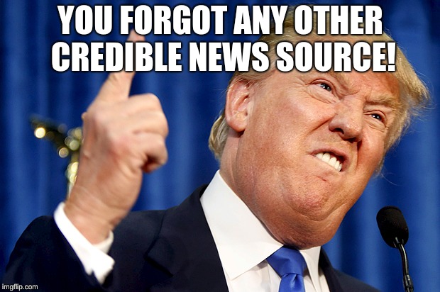 Donald Trump | YOU FORGOT ANY OTHER CREDIBLE NEWS SOURCE! | image tagged in donald trump | made w/ Imgflip meme maker