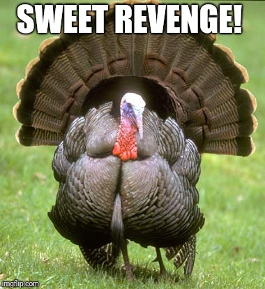 Turkey Meme | SWEET REVENGE! | image tagged in memes,turkey | made w/ Imgflip meme maker