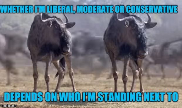 WHETHER I'M LIBERAL, MODERATE OR CONSERVATIVE; DEPENDS ON WHO I'M STANDING NEXT TO | image tagged in i'm thinking about switching | made w/ Imgflip meme maker