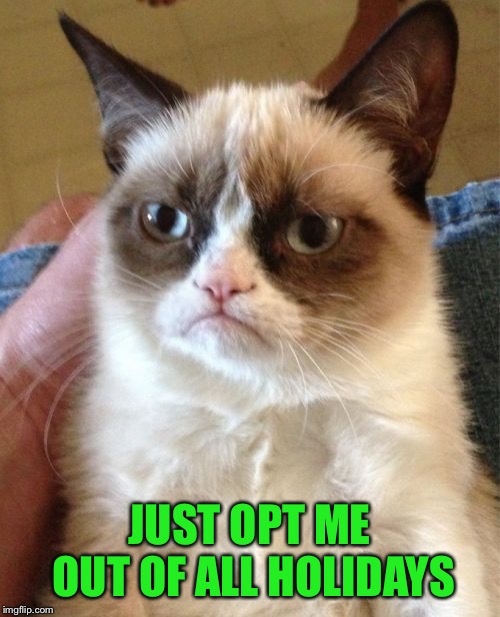 Grumpy Cat Meme | JUST OPT ME OUT OF ALL HOLIDAYS | image tagged in memes,grumpy cat | made w/ Imgflip meme maker