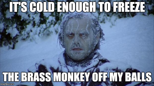 Cold | IT'S COLD ENOUGH TO FREEZE THE BRASS MONKEY OFF MY BALLS | image tagged in cold | made w/ Imgflip meme maker
