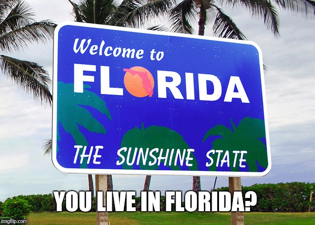 Florida | YOU LIVE IN FLORIDA? | image tagged in florida | made w/ Imgflip meme maker