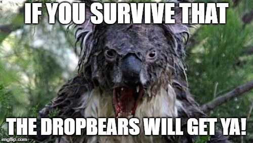 Angry Koala Meme | IF YOU SURVIVE THAT THE DROPBEARS WILL GET YA! | image tagged in memes,angry koala | made w/ Imgflip meme maker