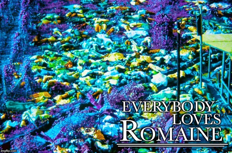 Everybody Loves Romaine | _______________; _______________ | image tagged in everybody loves raymond,romaine,lettuce,jonestown massacre,dank memes,ecoli | made w/ Imgflip meme maker