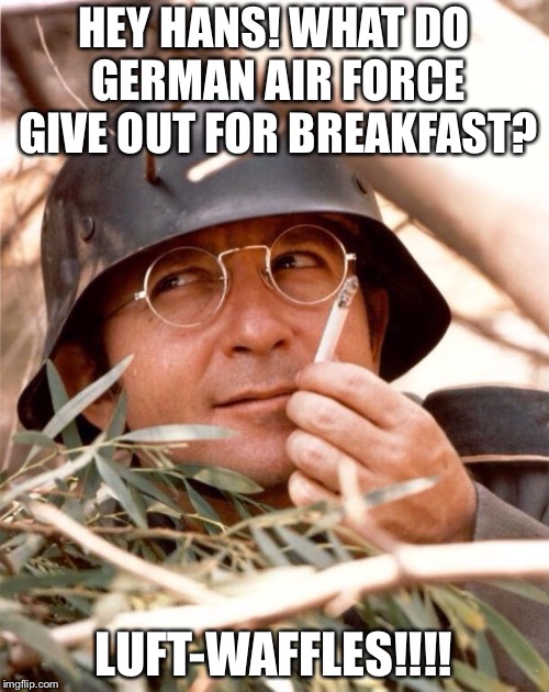 Bad pun Wolfgang! | HEY HANS! WHAT DO GERMAN AIR FORCE GIVE OUT FOR BREAKFAST? LUFT-WAFFLES!!!! | image tagged in wolfgang the german soldier,luftwaffe,ww2,memes | made w/ Imgflip meme maker