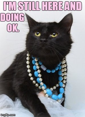 I'M STILL HERE AND DOING OK. | made w/ Imgflip meme maker