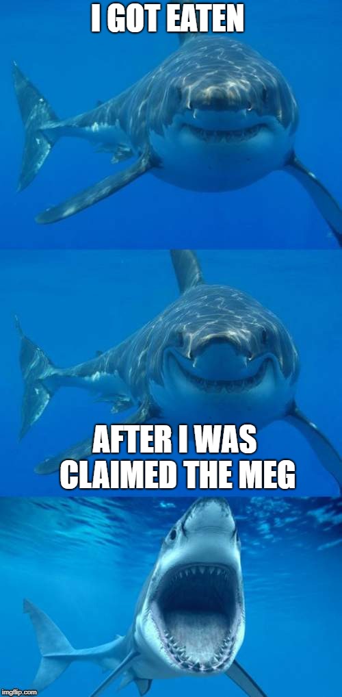 Bad Shark Pun  | I GOT EATEN AFTER I WAS CLAIMED THE MEG | image tagged in bad shark pun | made w/ Imgflip meme maker
