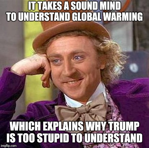 Creepy Condescending Wonka | IT TAKES A SOUND MIND TO UNDERSTAND GLOBAL WARMING; WHICH EXPLAINS WHY TRUMP IS TOO STUPID TO UNDERSTAND | image tagged in memes,creepy condescending wonka | made w/ Imgflip meme maker