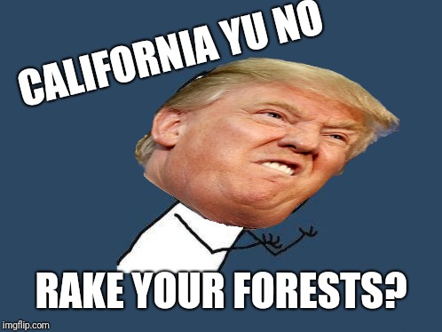 Yu no event | CALIFORNIA YU NO; RAKE YOUR FORESTS? | image tagged in yuno,trump,forest fire,event | made w/ Imgflip meme maker