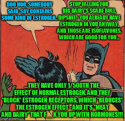 Batman Slapping Robin Meme | BOO HOO, SOMEBODY SAID  SOY CONTAINS SOME KIND OF ESTROGEN... ...THEY HAVE ONLY 1/500TH THE EFFECT OF NORMAL ESTROGEN, AND THEY *BLOCK* ESTR | image tagged in memes,batman slapping robin | made w/ Imgflip meme maker